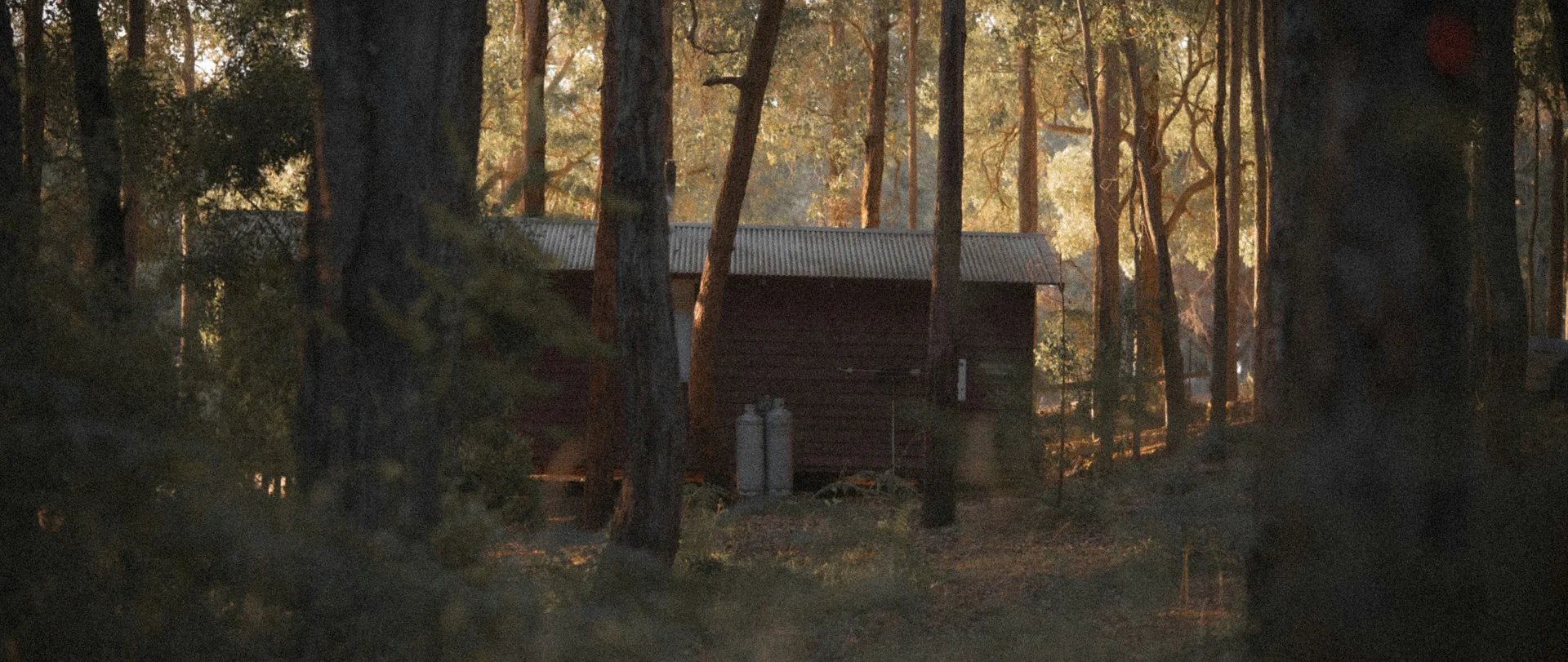 House in the forest at dusk
